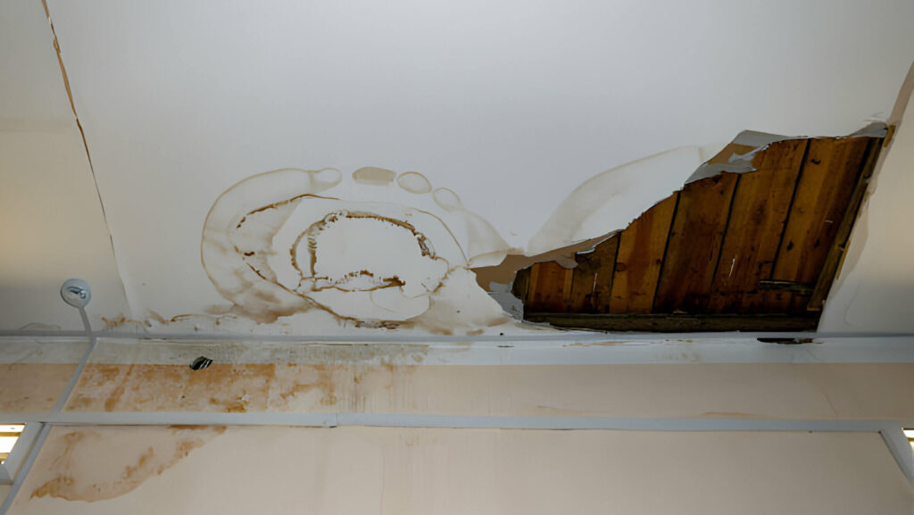 Signs-Of-Roof-Leak-In-Attic-featured-image